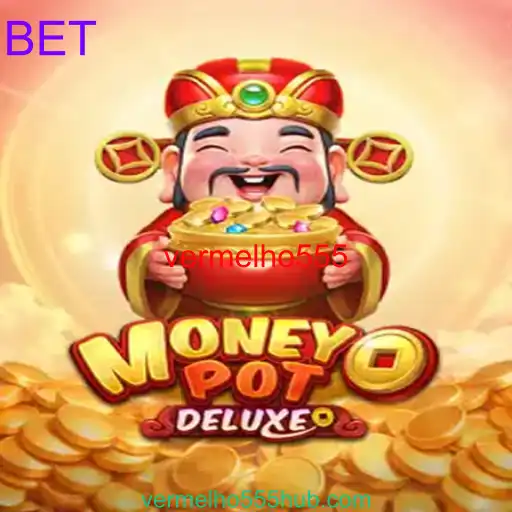 MoneyPotDELUXE